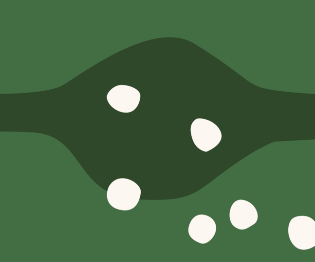 node.title.value